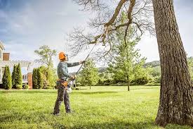 Best Lot and Land Clearing  in Bazon, CA