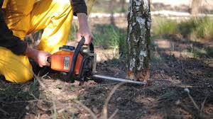 Best Lawn Mowing  in Bazon, CA