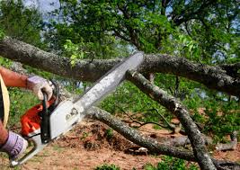 Best Lawn Grading and Leveling  in Bazon, CA
